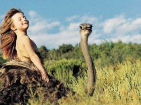 Tippi, Verdadera Mowgli - Namibia