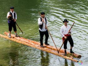 Gancheros del Alto Tajo - Taravilla - Guadalajara - España