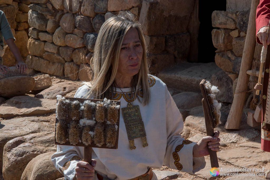 Utensilios para cardar lana - Numancia