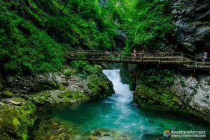 Garganta de Vintgar - Vintgar Gorge - Bled - Eslovenia