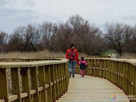 Una de las pasarelas que recorren Las Tablas de Daimiel - Ciudad Real - Castilla la Mancha - España