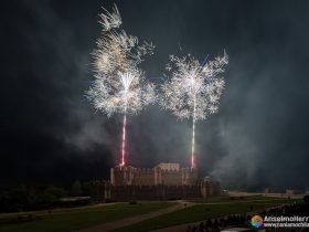 Castillo de coca y fuegos artificiales - Castillo de Fuego - Coca - Segovia