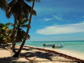 Playa de Isla Saona - República Dominicana