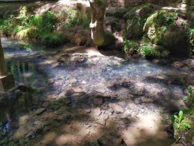 La Fuentona de Fontibre - Nacimiento del Ebro - Cantabria