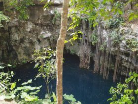 Cenote Lol-Ha - Yucatán - México