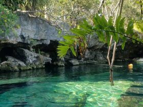 Cenote Cristalino - Quintana Roo - México