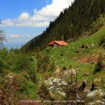 Cabana Turnuri - Rumanía