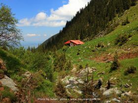 Cabana Turnuri - Rumanía