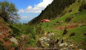 Cabana Turnuri - Rumanía