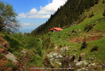 Cabana Turnuri - Rumanía